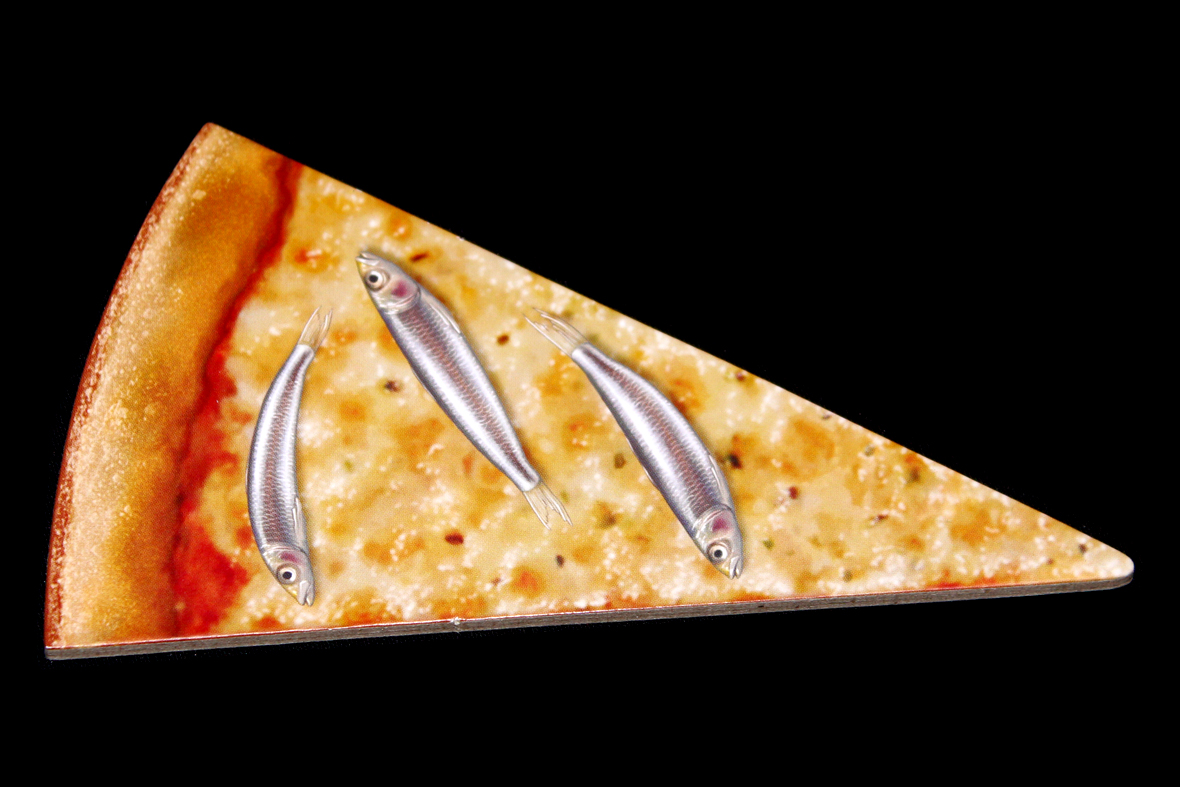 Anchovy Slice