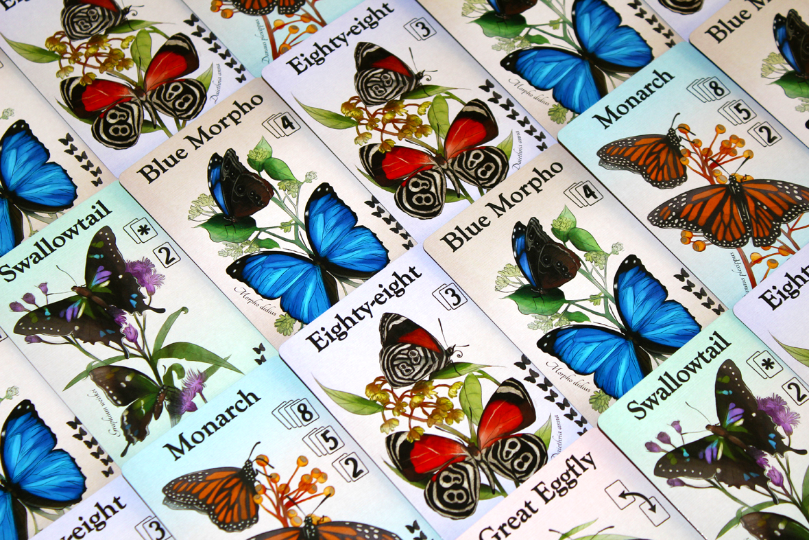 Butterfly Cards