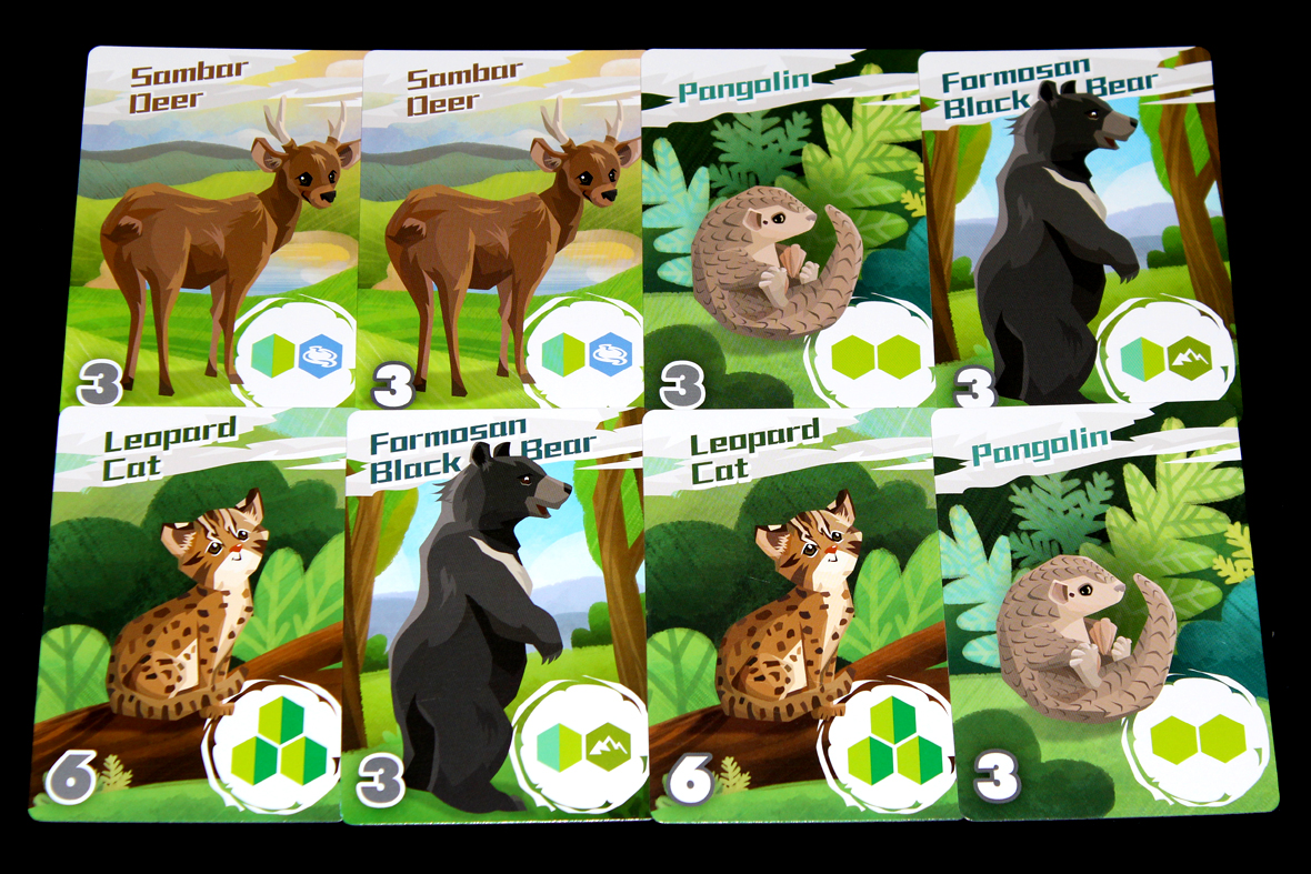 Animal Cards