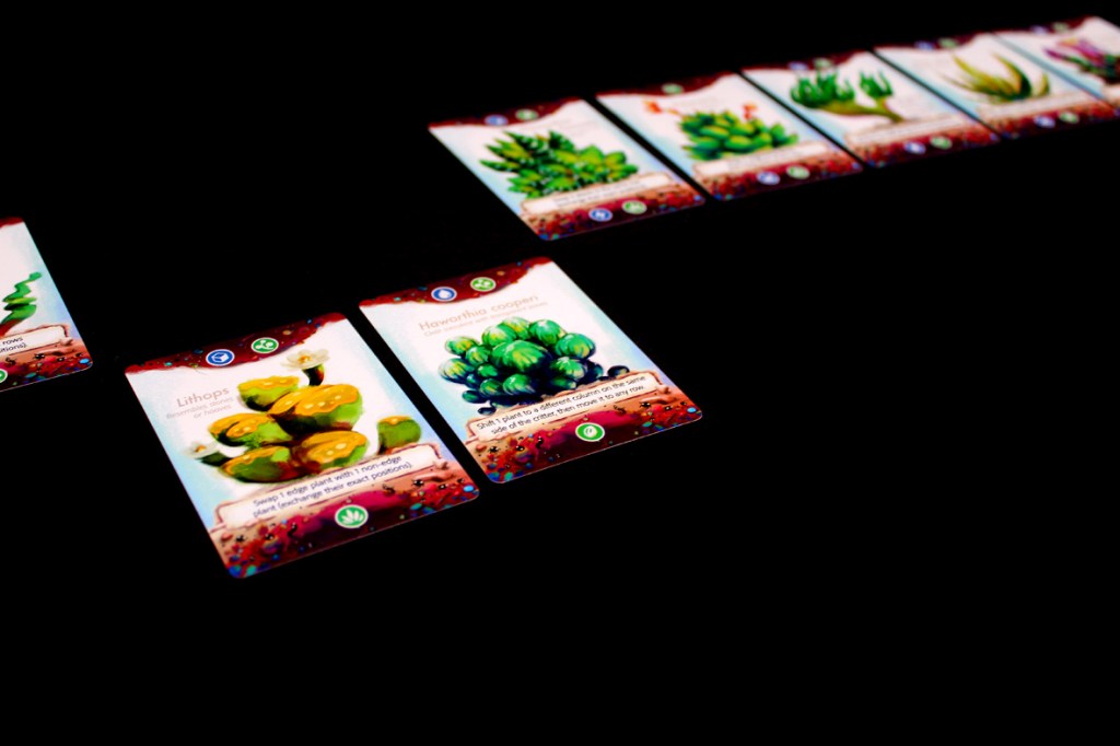 Colorful plant cards displayed on a dark surface, including Liihops and Haworthia cooperi, each with unique illustrations and gameplay instructions.