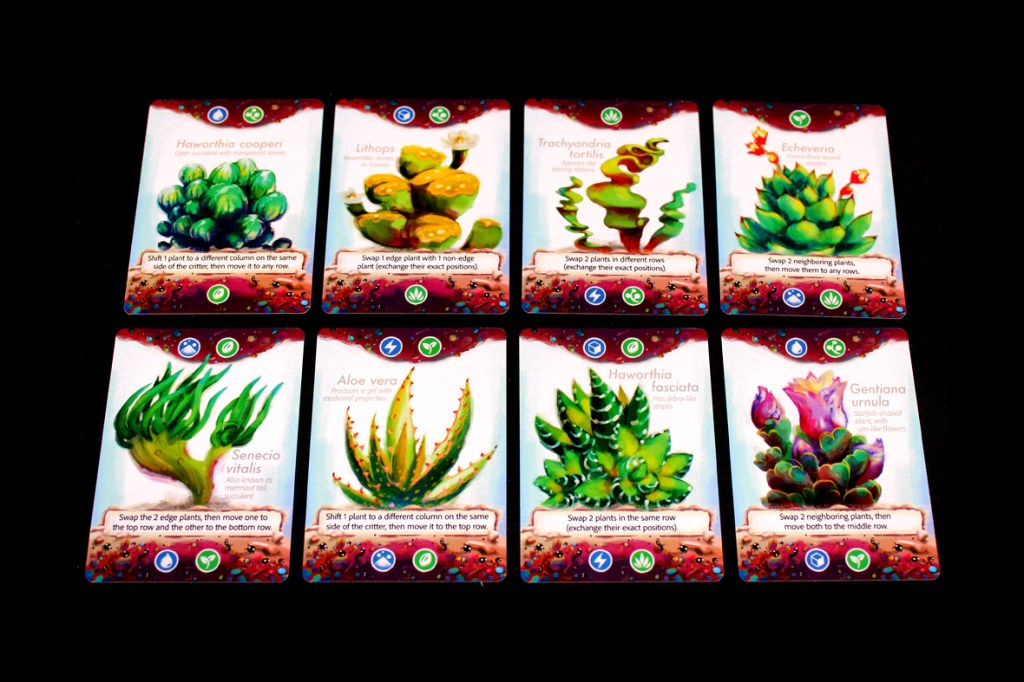 A flat lay of eight plant cards from the game Glass Garden, featuring illustrations of various succulent plants with game mechanics text.
